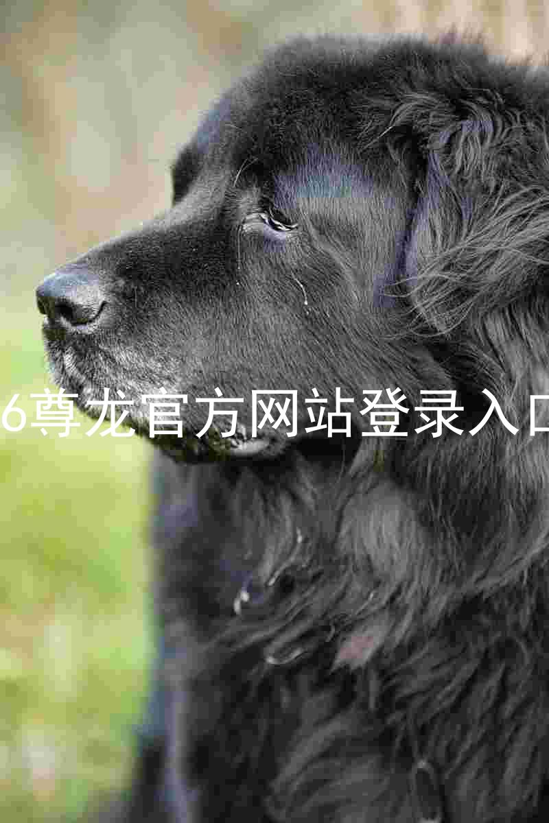 z6尊龙官方网站登录入口